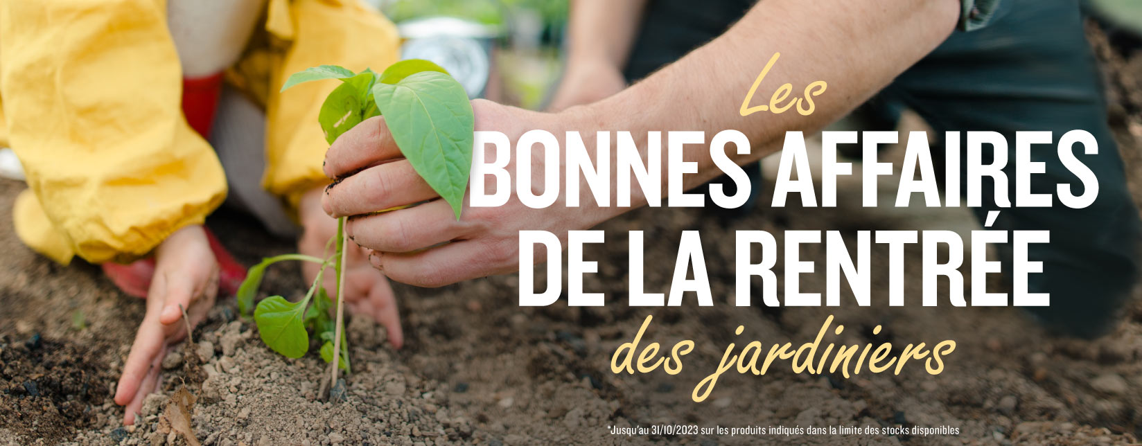 Les-Bonnes-Affaires-de-la-Rentree
