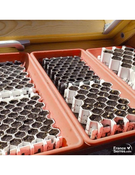 Kits de germination Germie sur soucoupes de jardinière