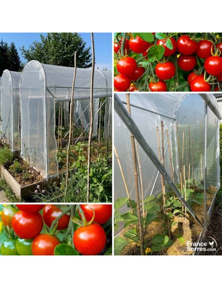 Serre de culture pour tomates avec côtés relevables