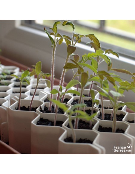 Kit De 5 Plateaux De Semis Réutilisables | 24 Alvéoles - Transparents - Pour Légumes, Fleurs - Jardinage