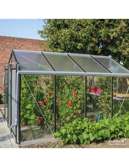 Serre en verre à parois droites 6,91m² avec tomates