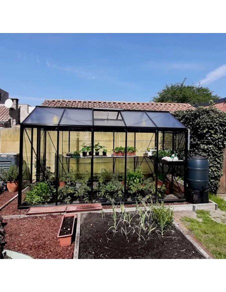 Serre de jardin en verre à parois droites 8,61m² en aluminium naturel