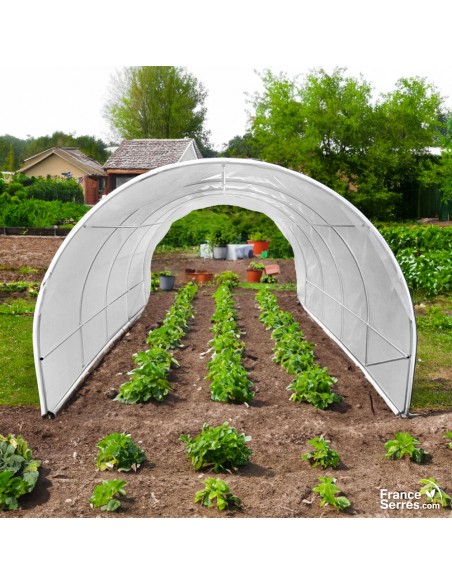 Serre tunnel de jardin de 18m² avec bâche translucide