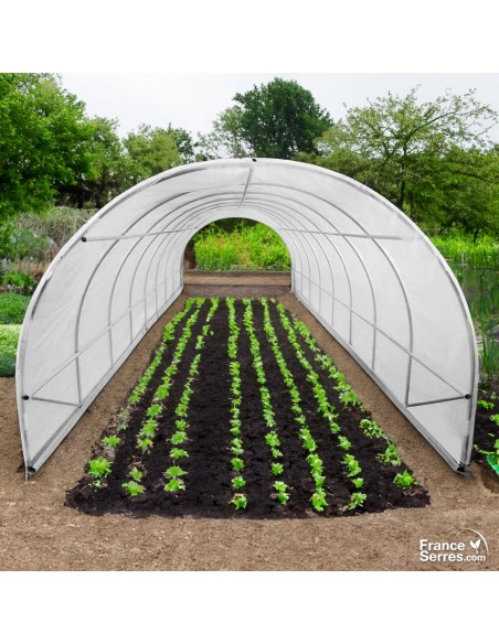 Serre tunnel de jardin de 24m² avec structure et bâche de corps translucide