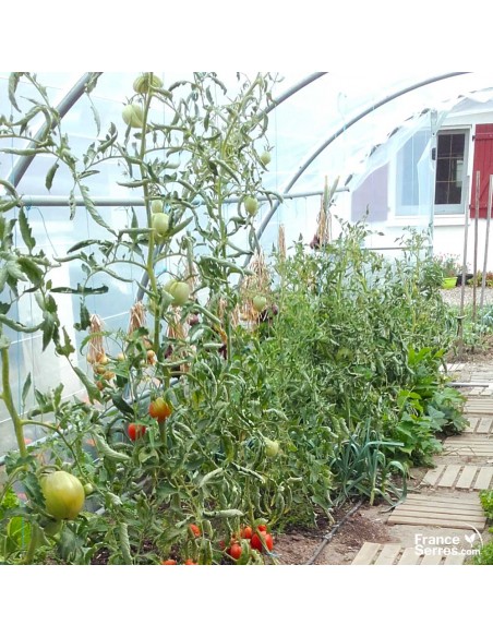 Serre de jardin bâche pour potager