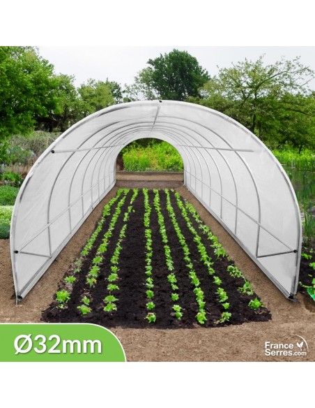 Serre tunnel de jardin de 24m² avec structure et bâche de corps translucide