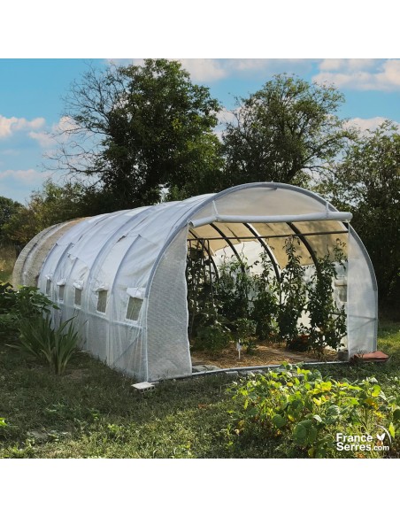 Serre tunnel de jardin avec fenêtres et porte enroulable 24m²