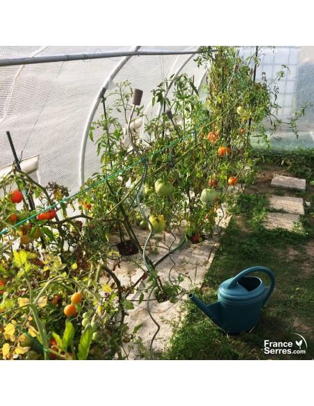 Serre pour tomates 18m²