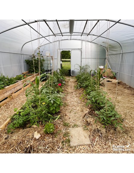 intérieur serre tunnel PRO 6m x 5m