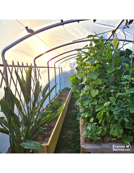 Serre tunnel de jardin avec pied droit et deux portes 18m²