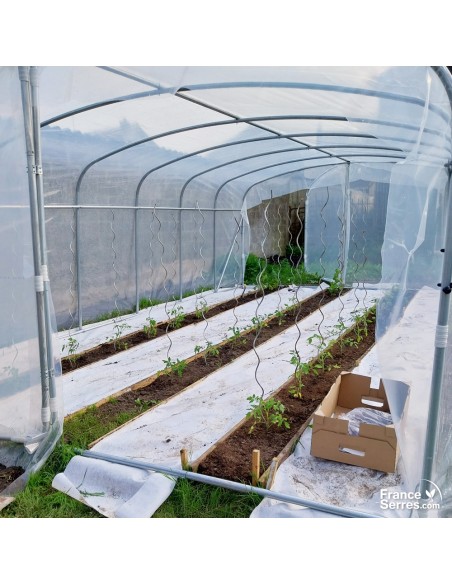 Culture dans Serre tunnel avec pied droit 21m²