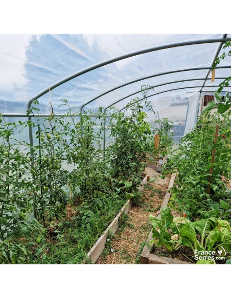Serre tunnel avec pied droit 21m²
