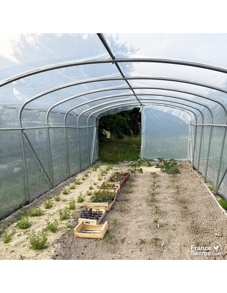 intérieur de serre tunnel 28m²