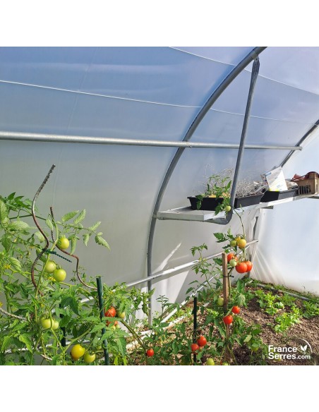 cultures sous serre tunnel de jardin avec portes
