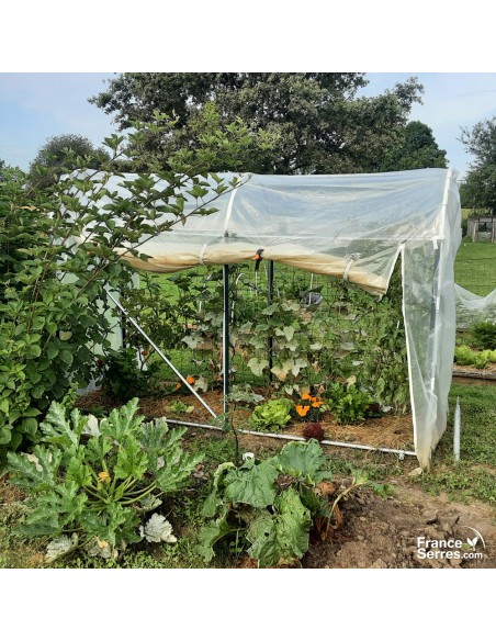 Serre à tomates pour petit jardin 3m²
