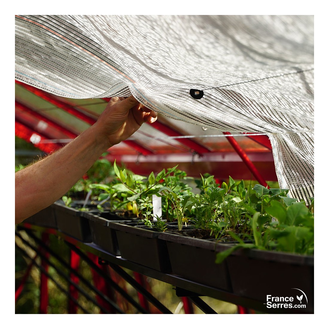 Toile d'ombrage pour serre en verre ACD Toile d'ombrage pour serre en verre ACD
