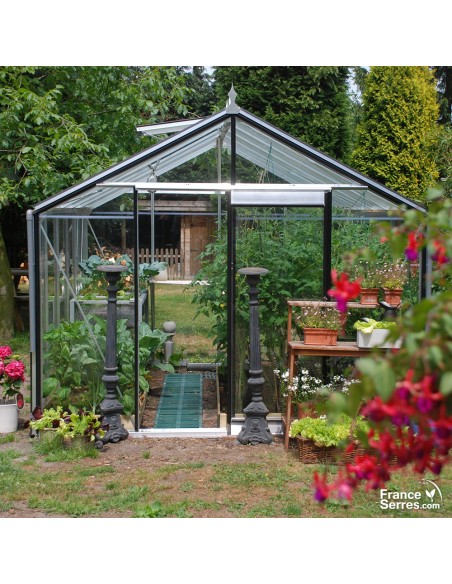 Décoration faîtière pour embellir et protéger votre serre en verre ACD