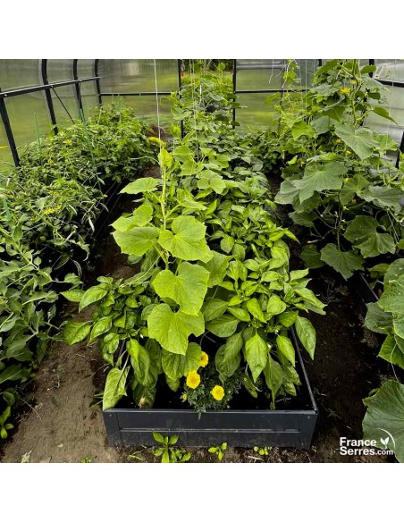 Jardinière en métal sans fond pour serre