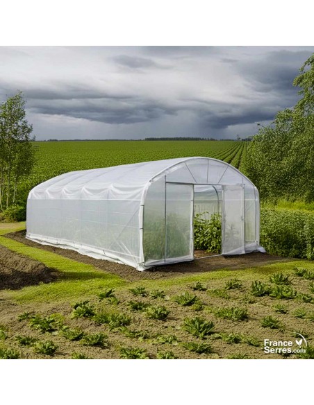 serre professionnelle de 48 m²