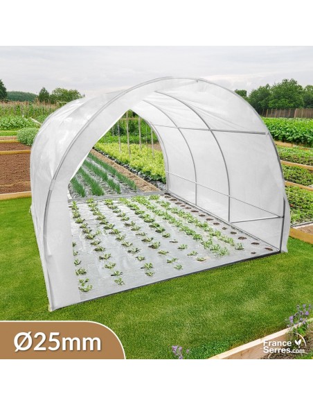 Serre tunnel à tomate de 9m² avec structure et bâche de corps