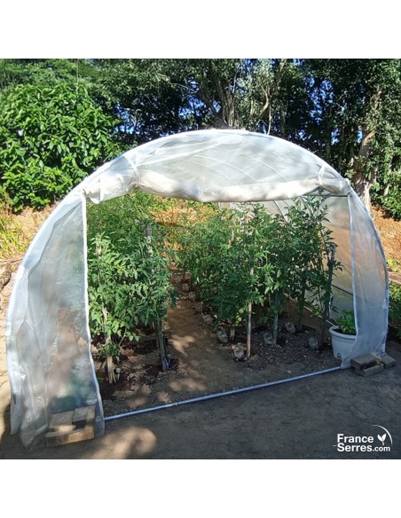 Serre tunnel de jardin de 12m² avec bâche translucide et portes enroulables