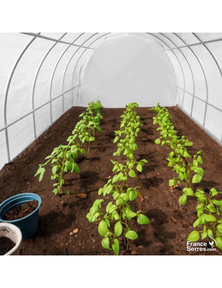 Serre de tunnel de jardin modulable avec pignon plein