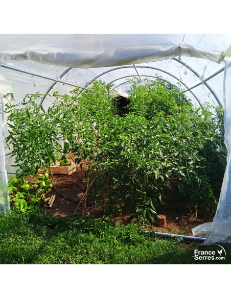 Serre tunnel de jardin de 18m² avec structure et bâche de corps translucide