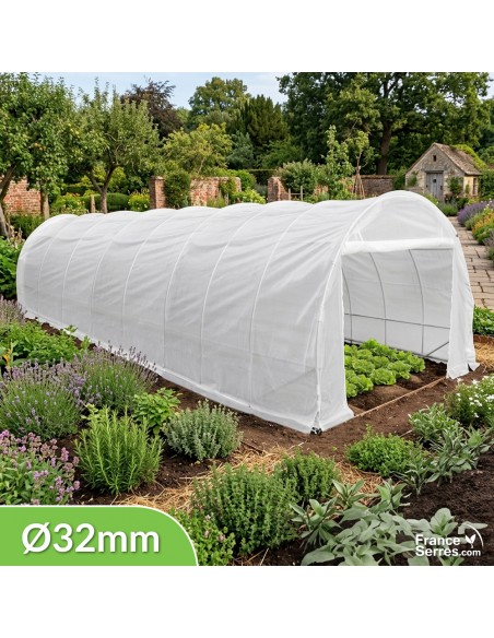 Serre tunnel demi-lune Eco "Plus" 24m² avec structure en acier galvanisé de 32 mm de diamètre
