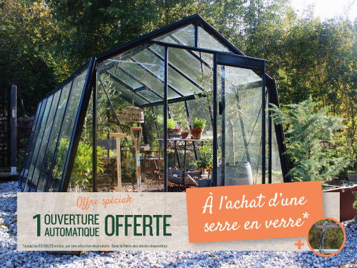 photo-serre-en-verre-dans-jardin-une-ouverture-automatique-offerte-pour-l-achat-d-une-serre-en-verre