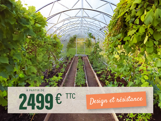 serre-tunnel-de-jardin-en-polycarbonate