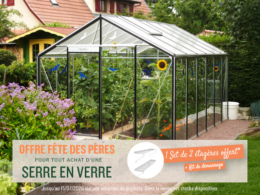 photo-serre-en-verre-dans-un-jardin-avec-plantations