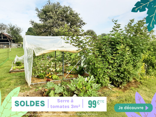 serre à tomate en soldes à 99€